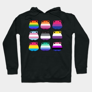 LGBTQ Frogs Hoodie